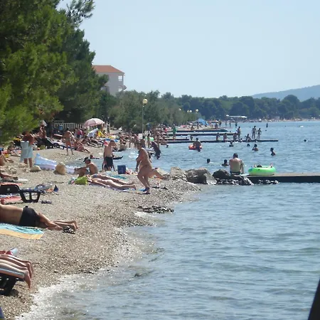 Basioli *