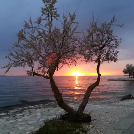 Basioli * Задар